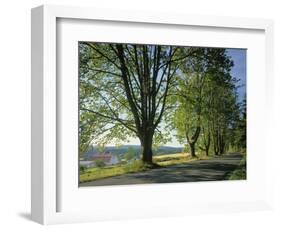 Crow Valley, Orcas Island, Washington, USA-Charles Gurche-Framed Photographic Print