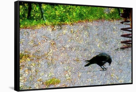 Crow-Andr? Burian-Framed Stretched Canvas