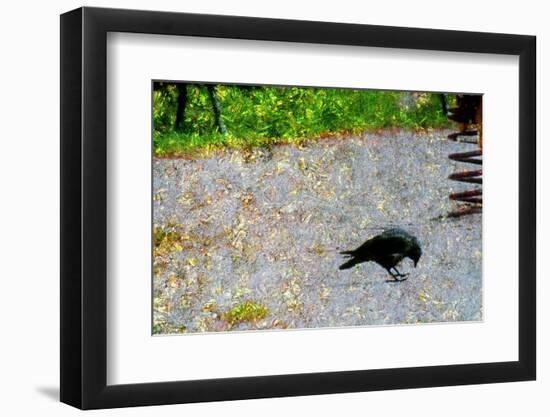 Crow-Andr? Burian-Framed Photographic Print