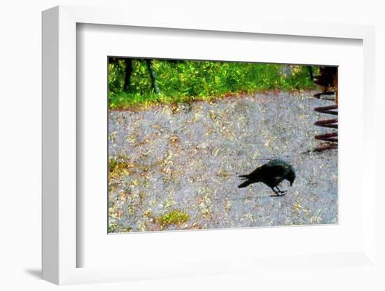 Crow-Andr? Burian-Framed Photographic Print