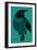 Crow-null-Framed Giclee Print