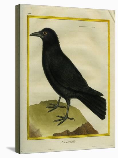 Crow-Georges-Louis Buffon-Stretched Canvas