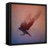 crow-Johan Lilja-Framed Stretched Canvas