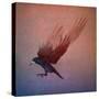 crow-Johan Lilja-Stretched Canvas