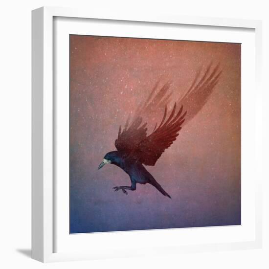 crow-Johan Lilja-Framed Giclee Print