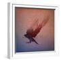 crow-Johan Lilja-Framed Giclee Print