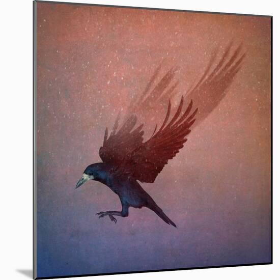 crow-Johan Lilja-Mounted Giclee Print