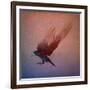 crow-Johan Lilja-Framed Giclee Print