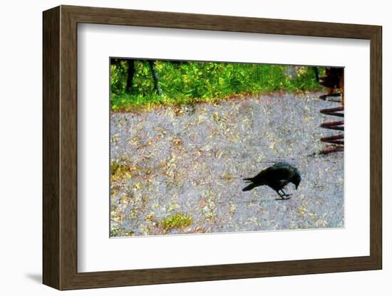 Crow-André Burian-Framed Photographic Print