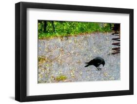 Crow-André Burian-Framed Photographic Print