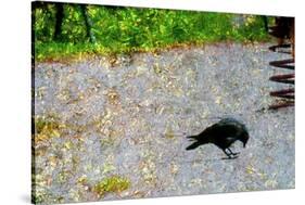Crow-André Burian-Stretched Canvas