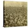 Crowd at the Opening of the Columbian Exhibition, Chicago, Illinois, USA, 1893-BW Kilburn-Stretched Canvas