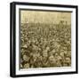 Crowd at the Opening of the Columbian Exhibition, Chicago, Illinois, USA, 1893-BW Kilburn-Framed Photographic Print