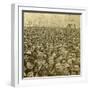 Crowd at the Opening of the Columbian Exhibition, Chicago, Illinois, USA, 1893-BW Kilburn-Framed Photographic Print