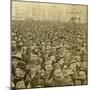 Crowd at the Opening of the Columbian Exhibition, Chicago, Illinois, USA, 1893-BW Kilburn-Mounted Photographic Print