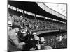 Crowd Attending a New York Yankee Baseball Game at Yankee Stadium-null-Mounted Photographic Print