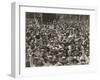 Crowd in Martin Place-null-Framed Giclee Print