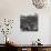 Crowd in Piazza San Marco. Tables at Cafe Florian in Foreground-Alfred Eisenstaedt-Photographic Print displayed on a wall