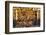 Crowd Lit by Evening Sun-Eleanor-Framed Photographic Print