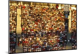 Crowd Lit by Evening Sun-Eleanor-Mounted Photographic Print