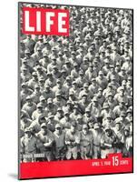 Crowd of Brooklyn Dodger Rookie Players Gathered at Dodgertown, Spring Training, May 5, 1948-George Silk-Mounted Photographic Print