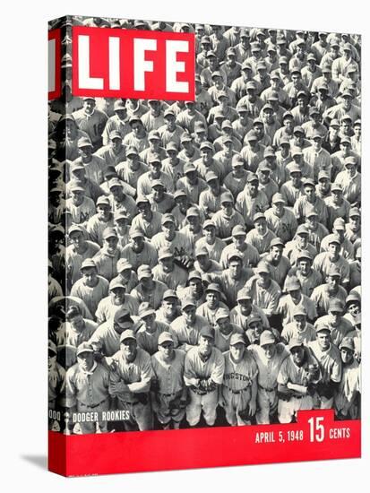 Crowd of Brooklyn Dodger Rookie Players Gathered at Dodgertown, Spring Training, May 5, 1948-George Silk-Stretched Canvas