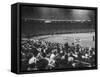 Crowd of People Holding Up Signs and Watching Dodger Cubs Game from Stands at Wrigley Field-John Dominis-Framed Stretched Canvas