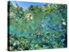 Crowd of Tropical Reef Fish Including Scissortail Sergeants and Grunts, Solomon Islands-Louise Murray-Stretched Canvas