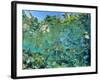 Crowd of Tropical Reef Fish Including Scissortail Sergeants and Grunts, Solomon Islands-Louise Murray-Framed Photographic Print