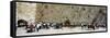 Crowd Praying in Front of a Stone Wall, Wailing Wall, Jerusalem, Israel-null-Framed Stretched Canvas