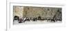 Crowd Praying in Front of a Stone Wall, Wailing Wall, Jerusalem, Israel-null-Framed Photographic Print