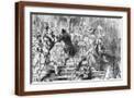 Brown Frame