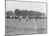 Crowd Watching Golf Tournament-null-Mounted Photographic Print