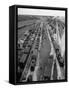 Crowded Yard Filled with Freight Cars-Peter Stackpole-Framed Stretched Canvas