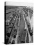 Crowded Yard Filled with Freight Cars-Peter Stackpole-Stretched Canvas