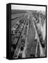 Crowded Yard Filled with Freight Cars-Peter Stackpole-Framed Stretched Canvas