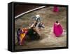 Crowds at a Stadium for a Bullfight, Quito, Ecuador-Paul Harris-Framed Stretched Canvas