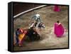 Crowds at a Stadium for a Bullfight, Quito, Ecuador-Paul Harris-Framed Stretched Canvas