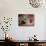 Crowds at a Stadium for a Bullfight, Quito, Ecuador-Paul Harris-Photographic Print displayed on a wall