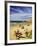 Crowds at the Beach, Torquay, Great Ocean Road, Victoria, Australia-David Wall-Framed Photographic Print