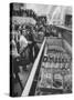 Crowds Checking Out Frozen Foods at the Us Exhibit, During the Poznan Fair-Lisa Larsen-Stretched Canvas