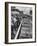 Crowds Checking Out Frozen Foods at the Us Exhibit, During the Poznan Fair-Lisa Larsen-Framed Photographic Print