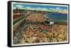 Crowds on the Beach, Santa Cruz - Santa Cruz, CA-Lantern Press-Framed Stretched Canvas