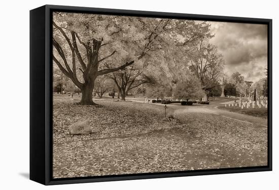 Crown Hill Cemetery, Indianapolis, Indiana-Rona Schwarz-Framed Stretched Canvas