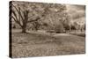 Crown Hill Cemetery, Indianapolis, Indiana-Rona Schwarz-Stretched Canvas