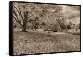 Crown Hill Cemetery, Indianapolis, Indiana-Rona Schwarz-Framed Stretched Canvas