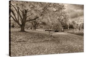 Crown Hill Cemetery, Indianapolis, Indiana-Rona Schwarz-Stretched Canvas