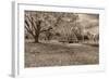 Crown Hill Cemetery, Indianapolis, Indiana-Rona Schwarz-Framed Photographic Print