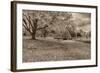 Crown Hill Cemetery, Indianapolis, Indiana-Rona Schwarz-Framed Photographic Print