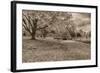 Crown Hill Cemetery, Indianapolis, Indiana-Rona Schwarz-Framed Photographic Print